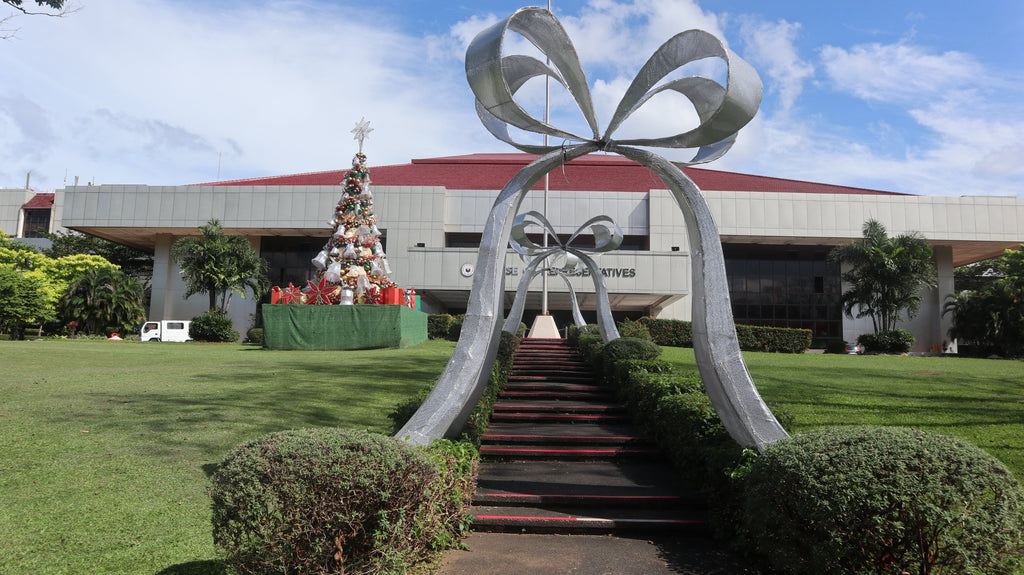What's Included in Our Professional Christmas Decor Services